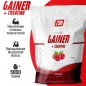 Гейнер 2SN Gainer + Creatine 5000 гр